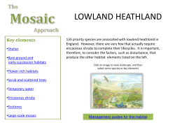 Mosaic Approach - Lowland Heathland
