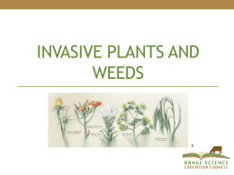 Invasive Plants and Weedsx