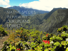 native species - STEMworks Hawaii