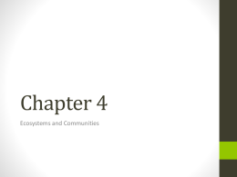Chapter 4x