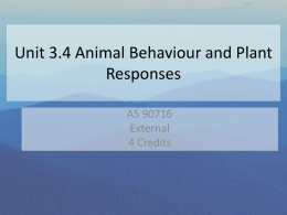 Unit 3.4 Animal Behaviour and Plant Responses