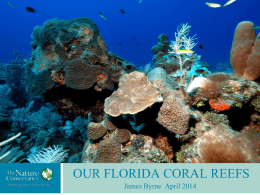 Coral Biology - OUR FLORIDA REEFS