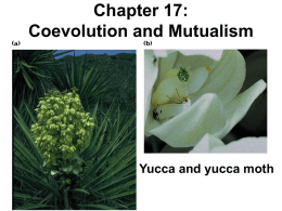 16 Coevolution Mutualism 2010