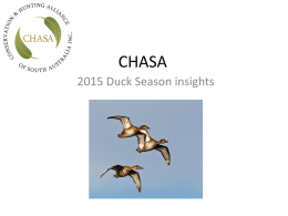 CHASA-2015-Duck-Season-insights.pps