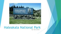 Haleakala National Park - Cook/Lowery15
