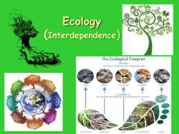 Ecology - SharpSchool