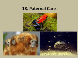 18 Parental Care and Nestingx