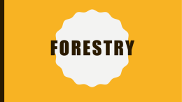 Forestry Notes