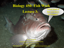 Lecture 3 -Fishes of Oregon 2349KB Apr 06 2009 05:53:18 AM