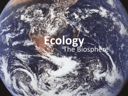 Ecology13