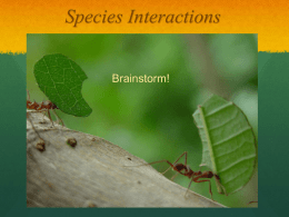 Species Interactions Bio Intro Interactions between Speciesx