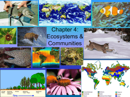ecology ppt - Kania´s Science Page
