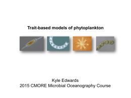 Trait-based phytoplankton models