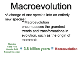 Macroevolution - Hatboro