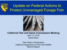 Item 13_Federal Forage Fish-FGC-April13-2016x - Cal-Span