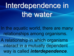 Interdependence in the Sea