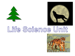 Life Science Unit: