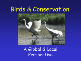 Conservation - USD Biology