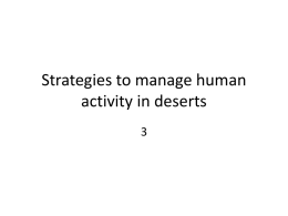Desert Strategies - 3 Etosha National Park