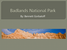 Badlands National Park - Brown