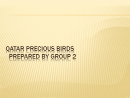 Qatar_precious_birds_2x