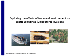 Exploring the effects of trade and environment on - e