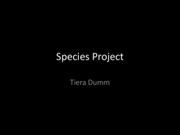 Species Project.tiera