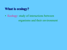 Ecology Introduction Notes