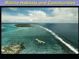 Marine Habitats anb Communities