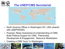 Update on UNEP/CMS Activities