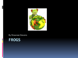Frogs - TeacherWeb