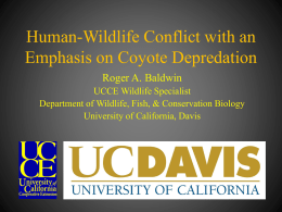 Baldwin Hopland Coyote Presentation 2015 (45 min)