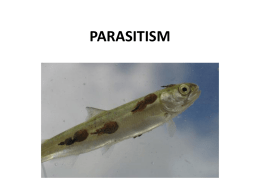Parasitismx