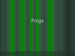 Frogs - Cole4thgrade
