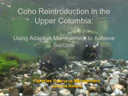 To re-establish naturally spawning coho populations in mid and