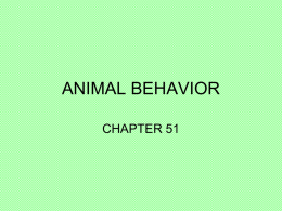 Notes Ecology and Animal Behavior AP Bio 2014