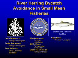 Massachusetts Division of Marine Fisheries