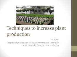 Plant Management Techniques PPT
