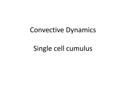 convection: single cell