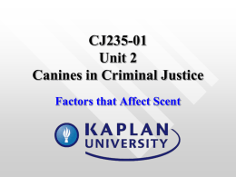CJ235-01 Unit 2 Canines in Criminal Justice Factors that Affect
