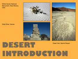 desert-introduction