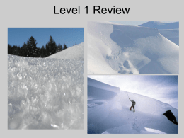Level I Review