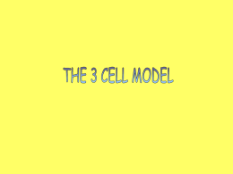 Interactive 3-cell model