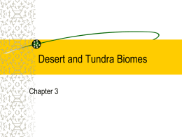 Desert and Tundra