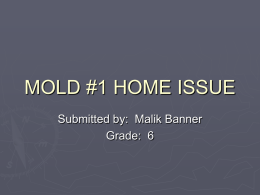 mold ! #1 home issue