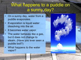 What happens to a puddle on a sunny day?