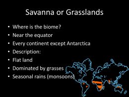 11 Savanna Grasslandsx