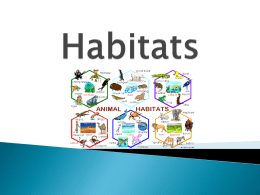Habitats - Room 126!