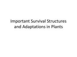 Important Survival Structures in Plants