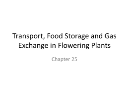 Transport, Food Storage and Gas Exchange in Flowering Plants